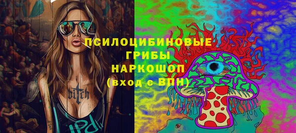 дмт Гусь-Хрустальный