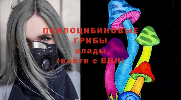 тгк Няндома