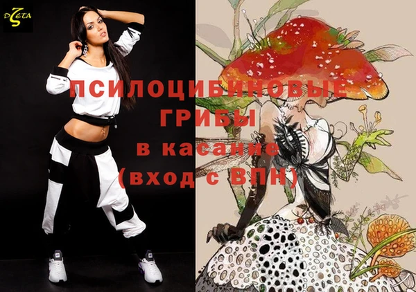 мяу мяу мука Гусев